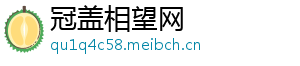 冠盖相望网